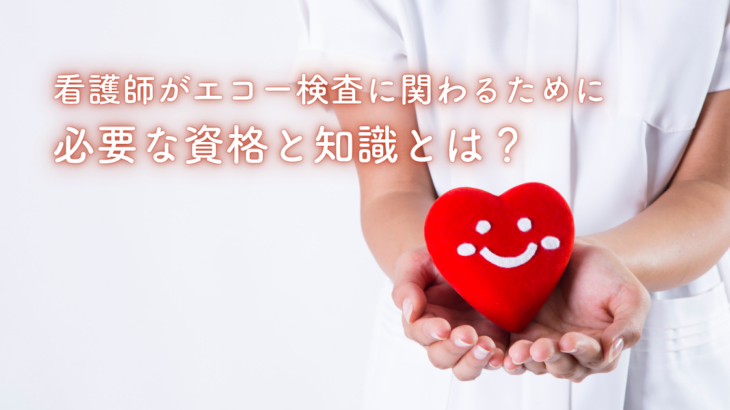 看護師がエコー検査に関わるために必要な資格と知識とは？